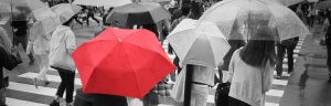subvencion